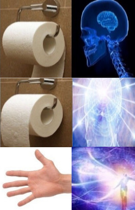 Туалетная бумага и синий мозг