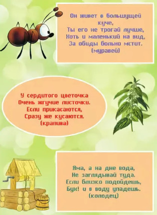 Загадка про насекомых