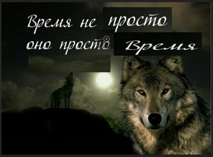 Цитата волка про время