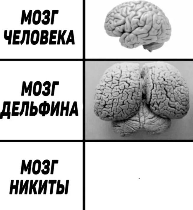 Мозг Никиты - Дразнилка картинка